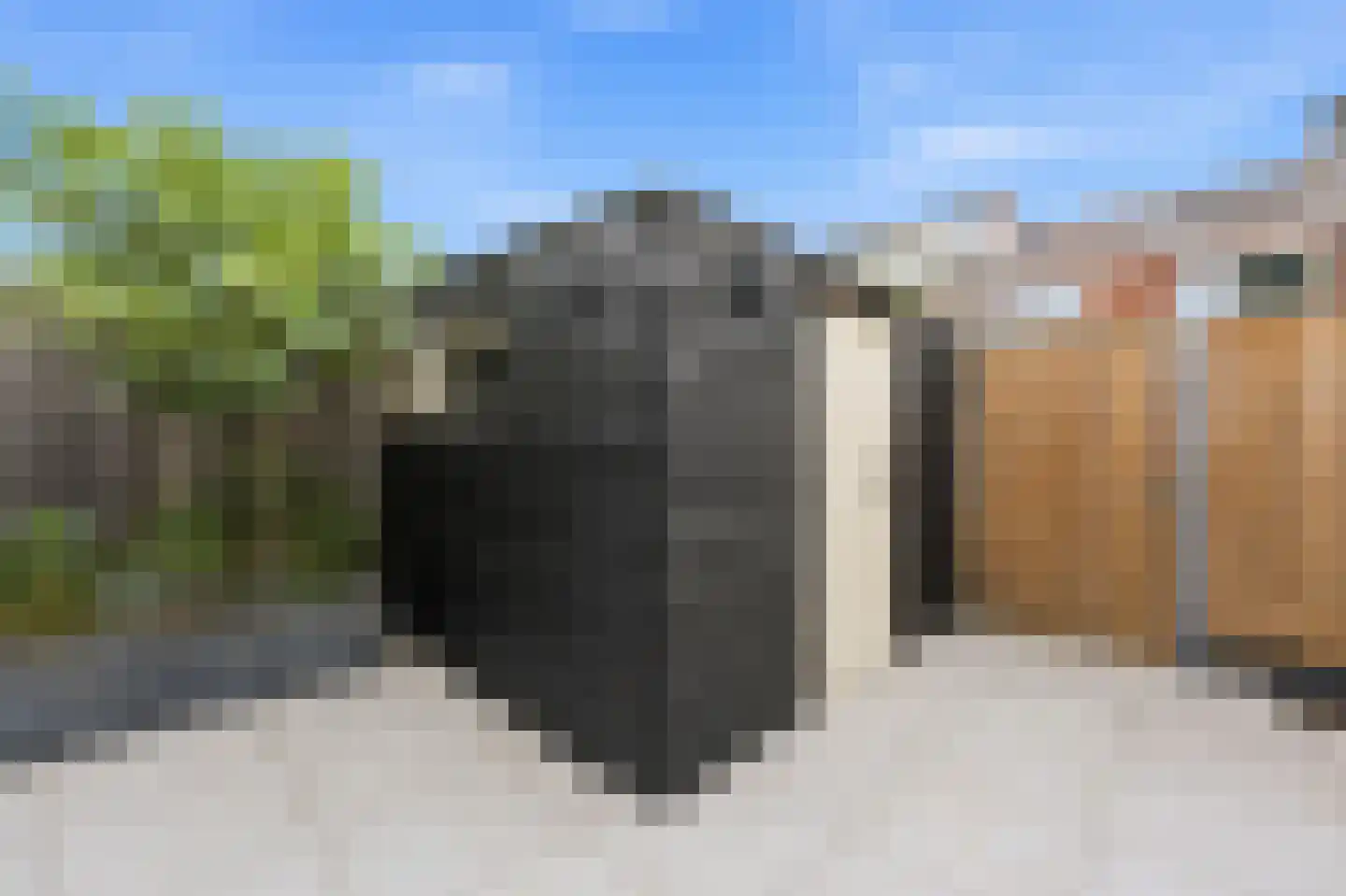 Tesselschadestraat 5 Hendrik-Ido-Ambacht thumbnail 32