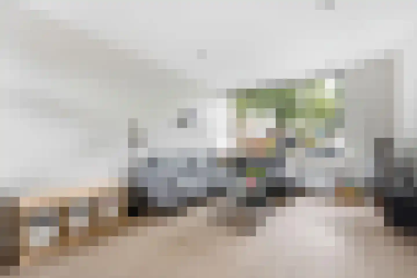 Tesselschadestraat 5 Hendrik-Ido-Ambacht thumbnail 7