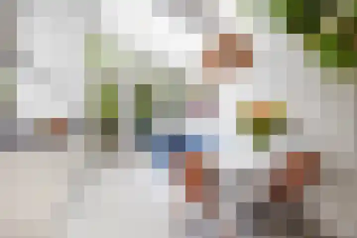 Tesselschadestraat 5 Leiden thumbnail 8