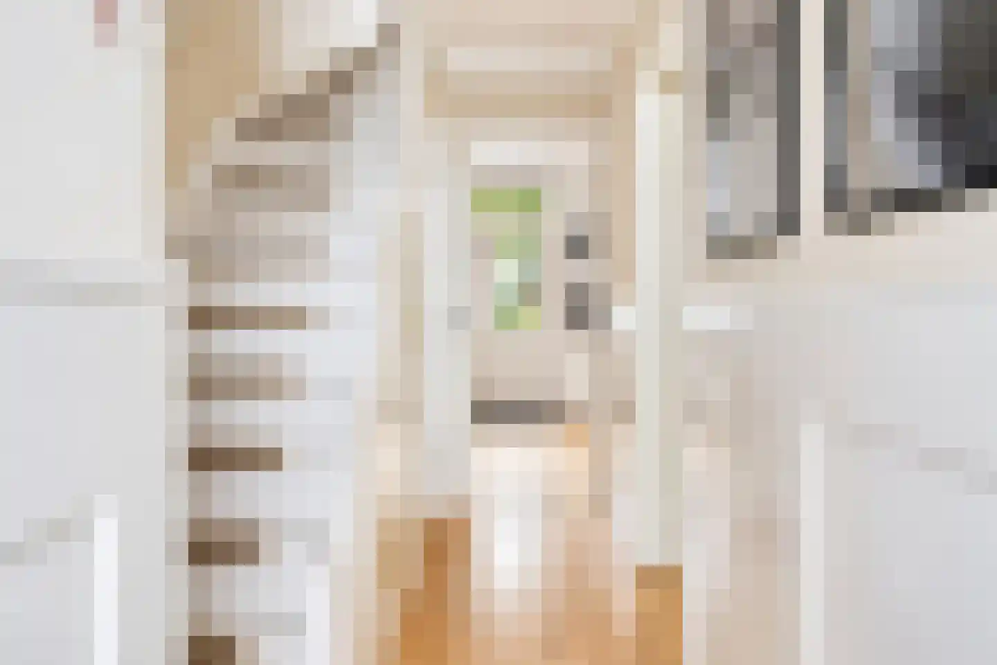 Tesselschadestraat 59 Deventer thumbnail 8