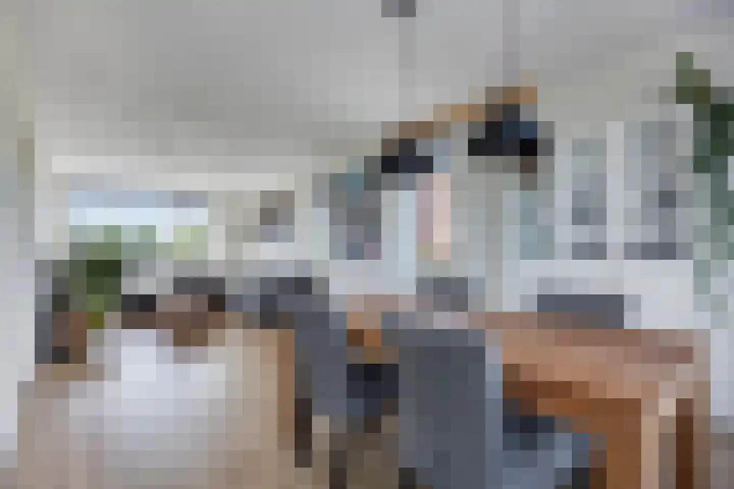 Tesselschadestraat 6 Hendrik-Ido-Ambacht thumbnail 8