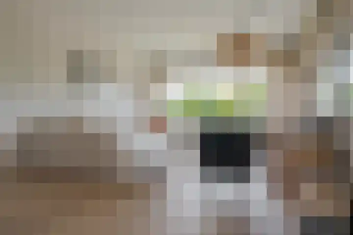 Tesselschadestraat 61 Zwolle thumbnail 10