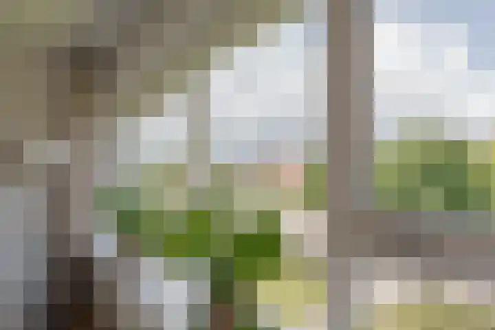Tesselschadestraat 61 Zwolle thumbnail 12