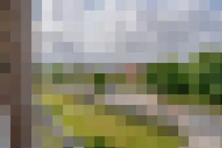 Tesselschadestraat 61 Zwolle thumbnail 5