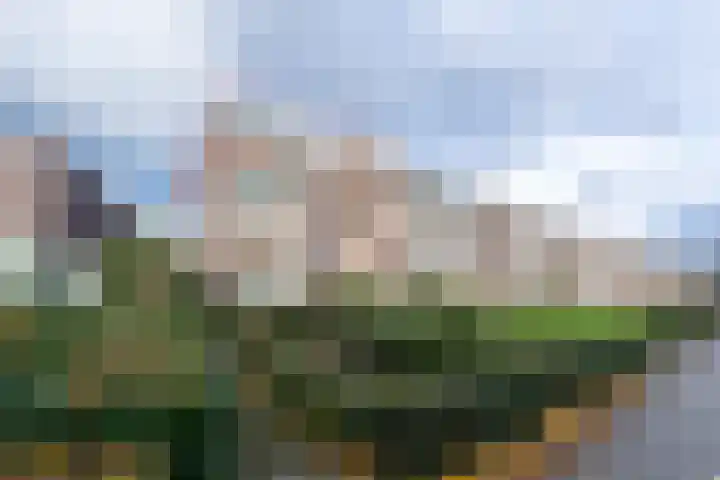 Tesselschadestraat 63 Zwolle thumbnail 31