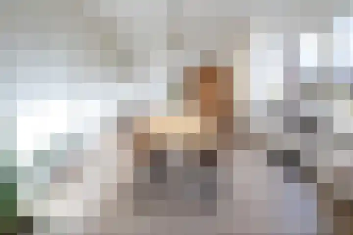 Tesselschadestraat 63 Zwolle thumbnail 9