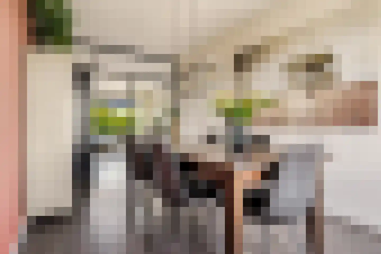 Tesselschadestraat 71 Zwolle thumbnail 17