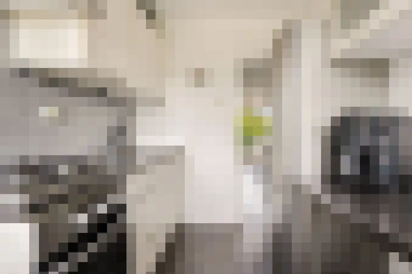 Tesselschadestraat 71 Zwolle thumbnail 18