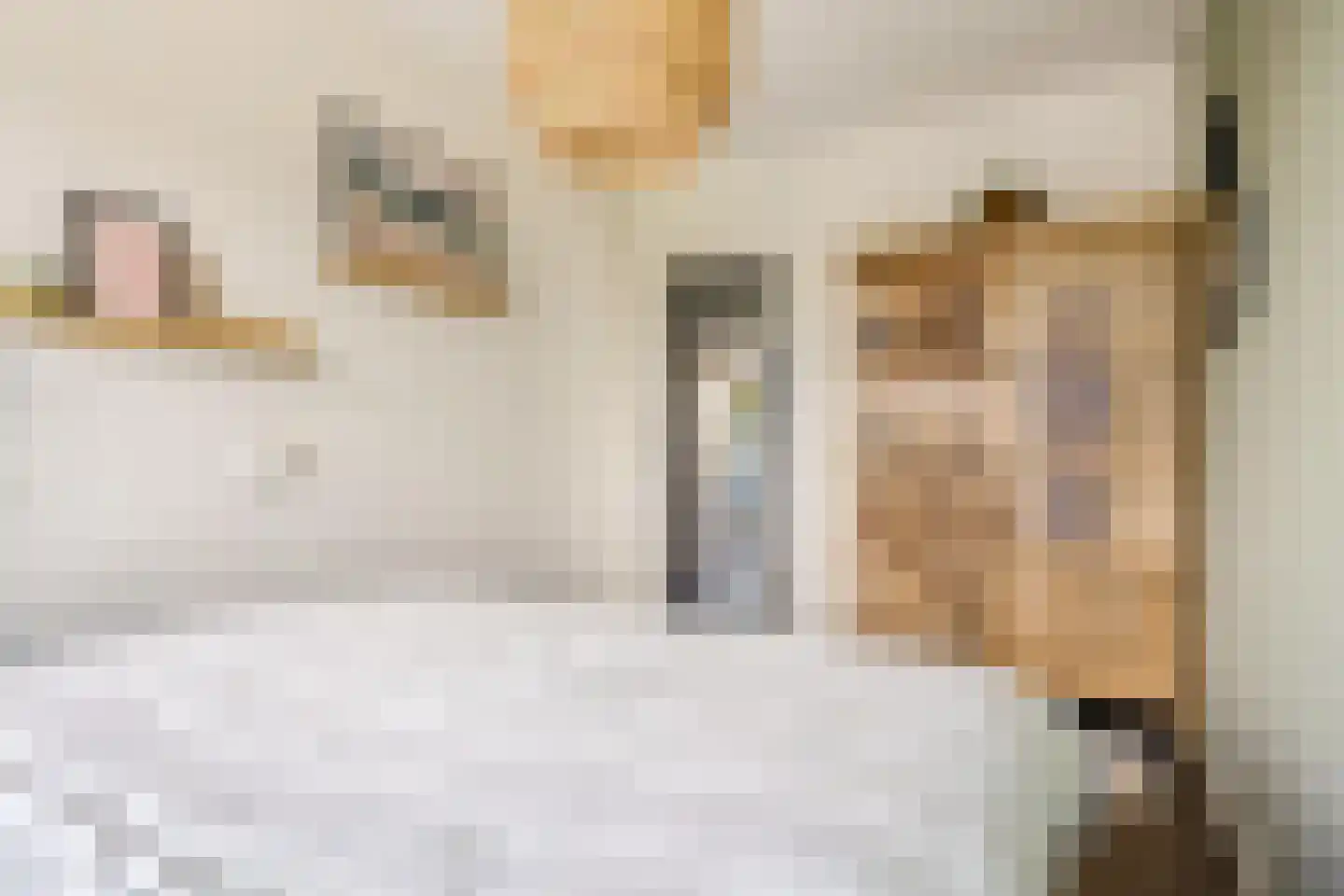 Tesselschadestraat 71 Zwolle thumbnail 23