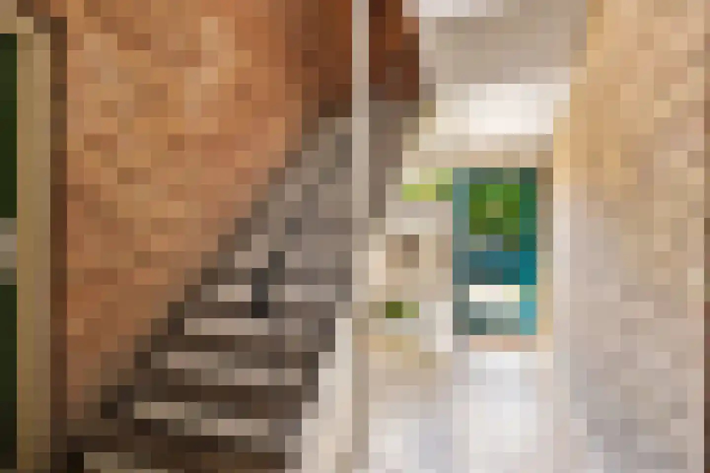 Tesselschadestraat 71 Zwolle thumbnail 7