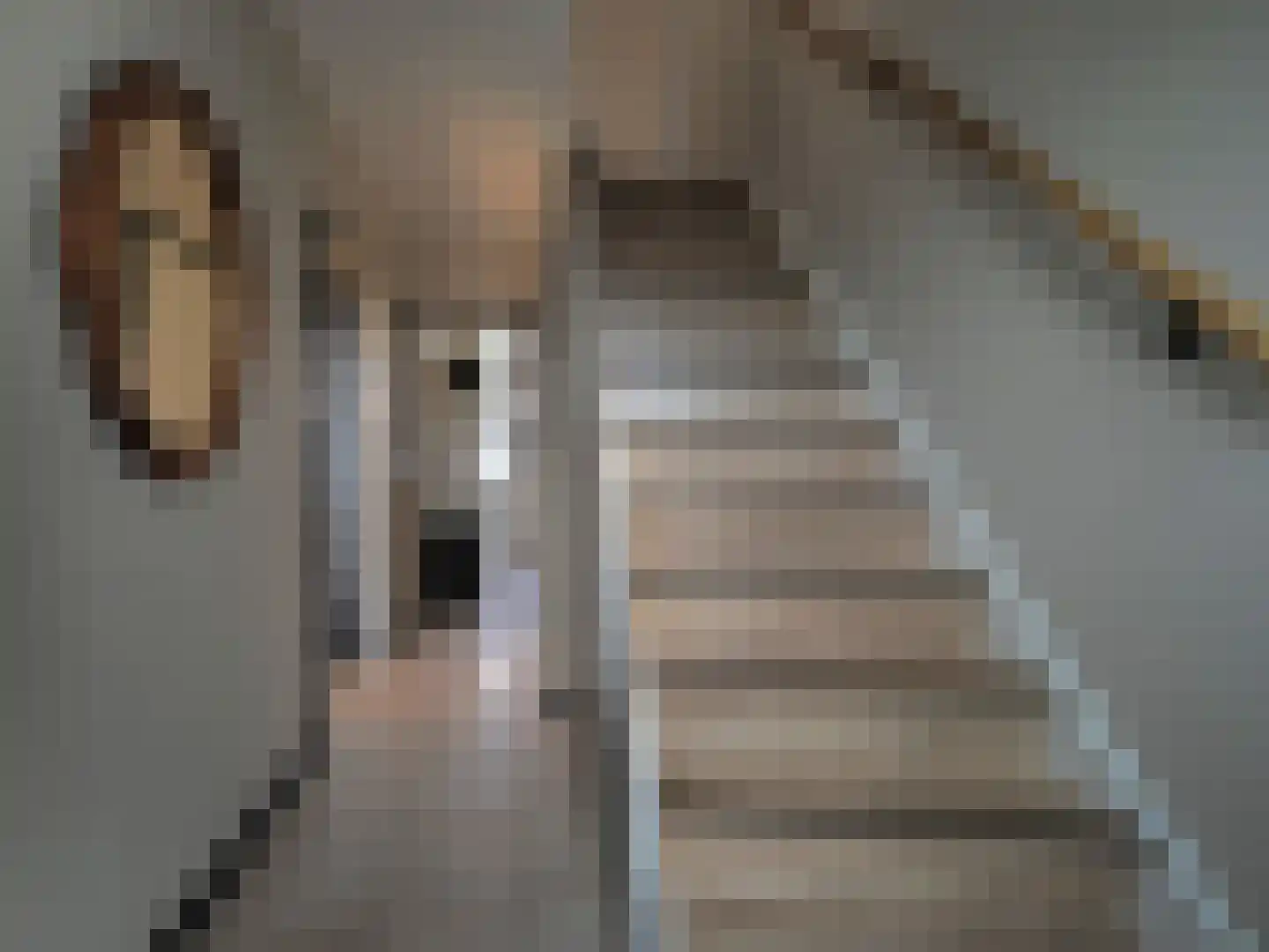 Tesselschadestraat 8 Papendrecht thumbnail 14