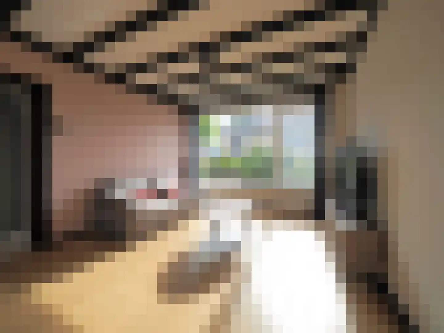 Tesselschadestraat 8 Papendrecht thumbnail 17