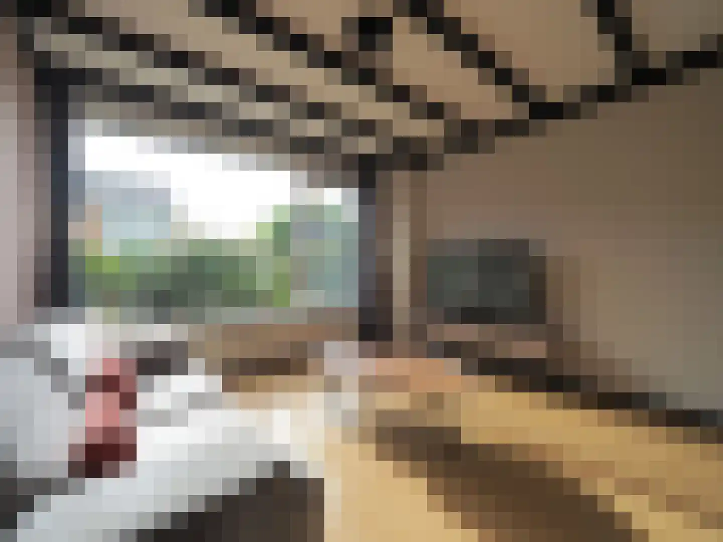 Tesselschadestraat 8 Papendrecht thumbnail 18