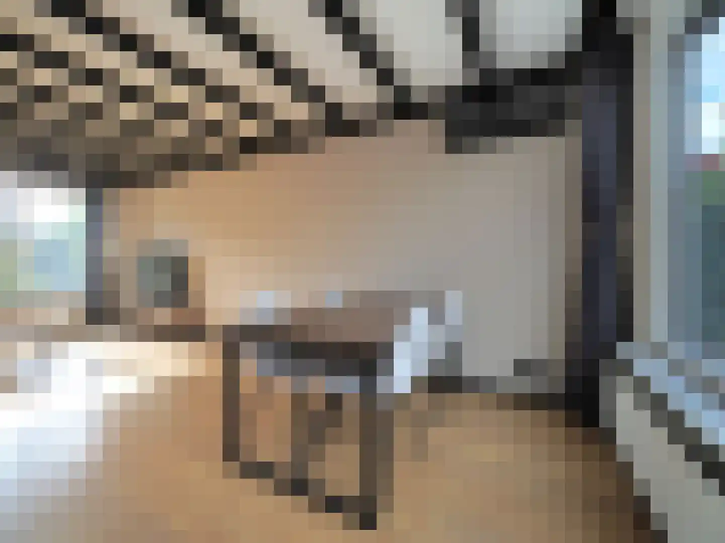 Tesselschadestraat 8 Papendrecht thumbnail 22