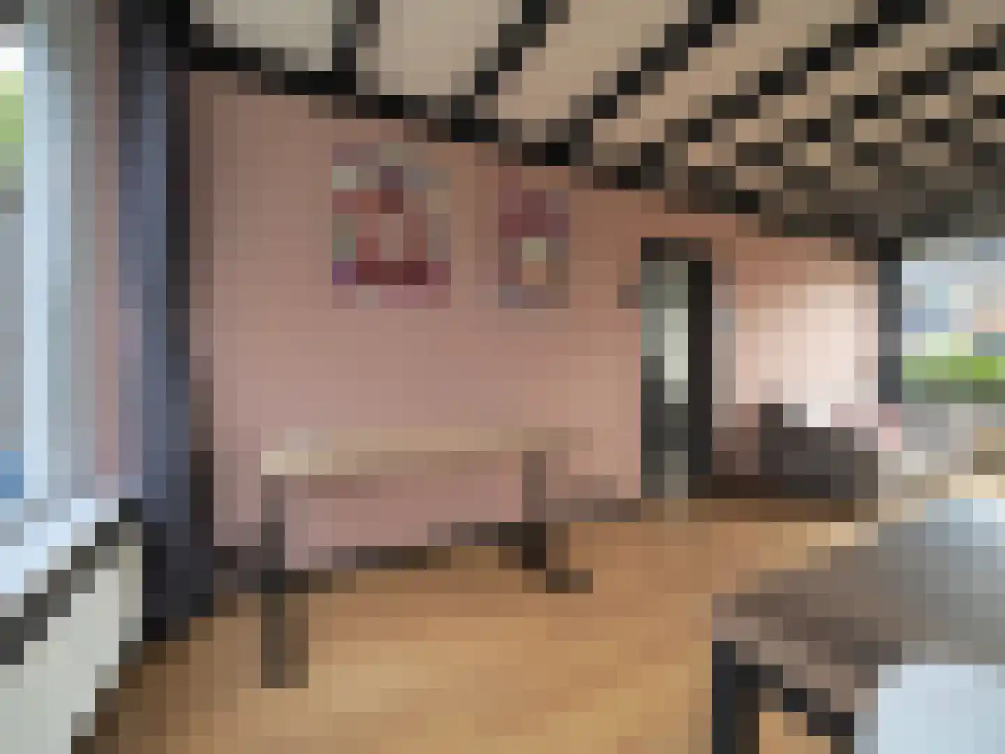Tesselschadestraat 8 Papendrecht thumbnail 23