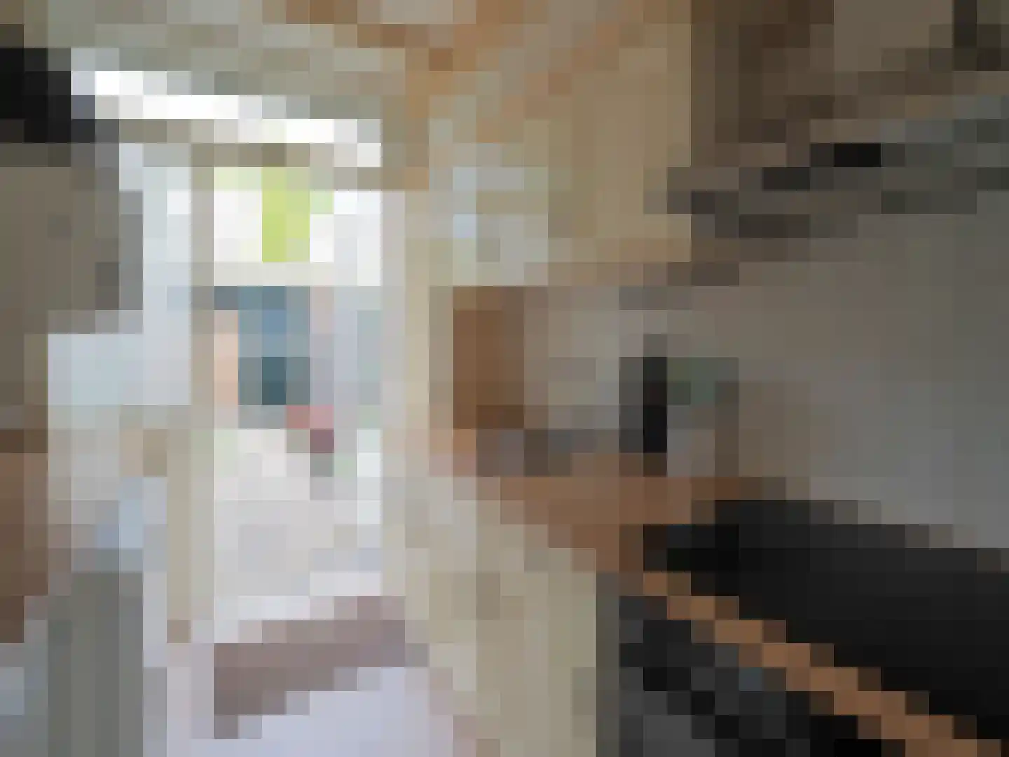 Tesselschadestraat 8 Papendrecht thumbnail 24
