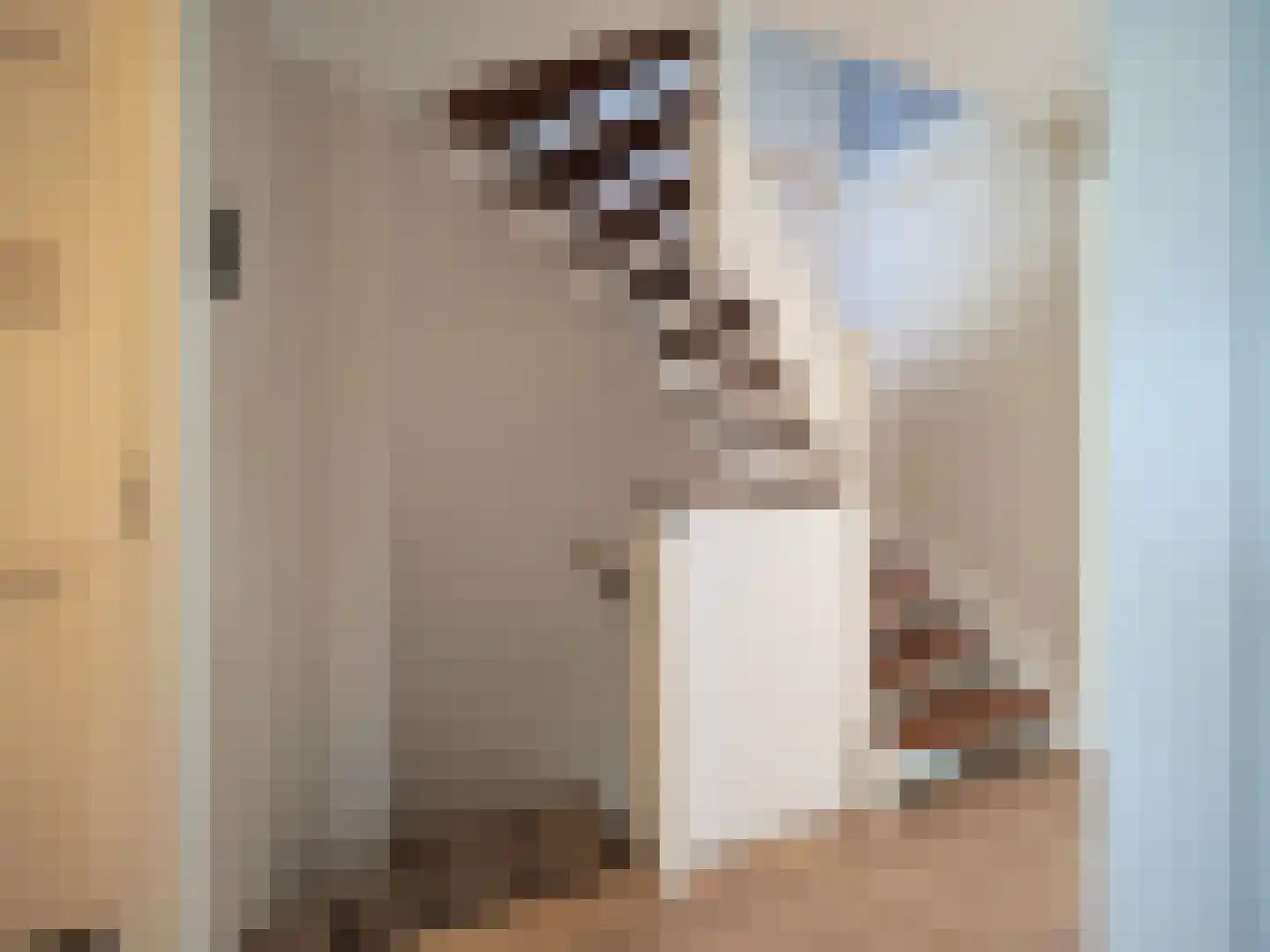 Tesselschadestraat 8 Papendrecht thumbnail 26