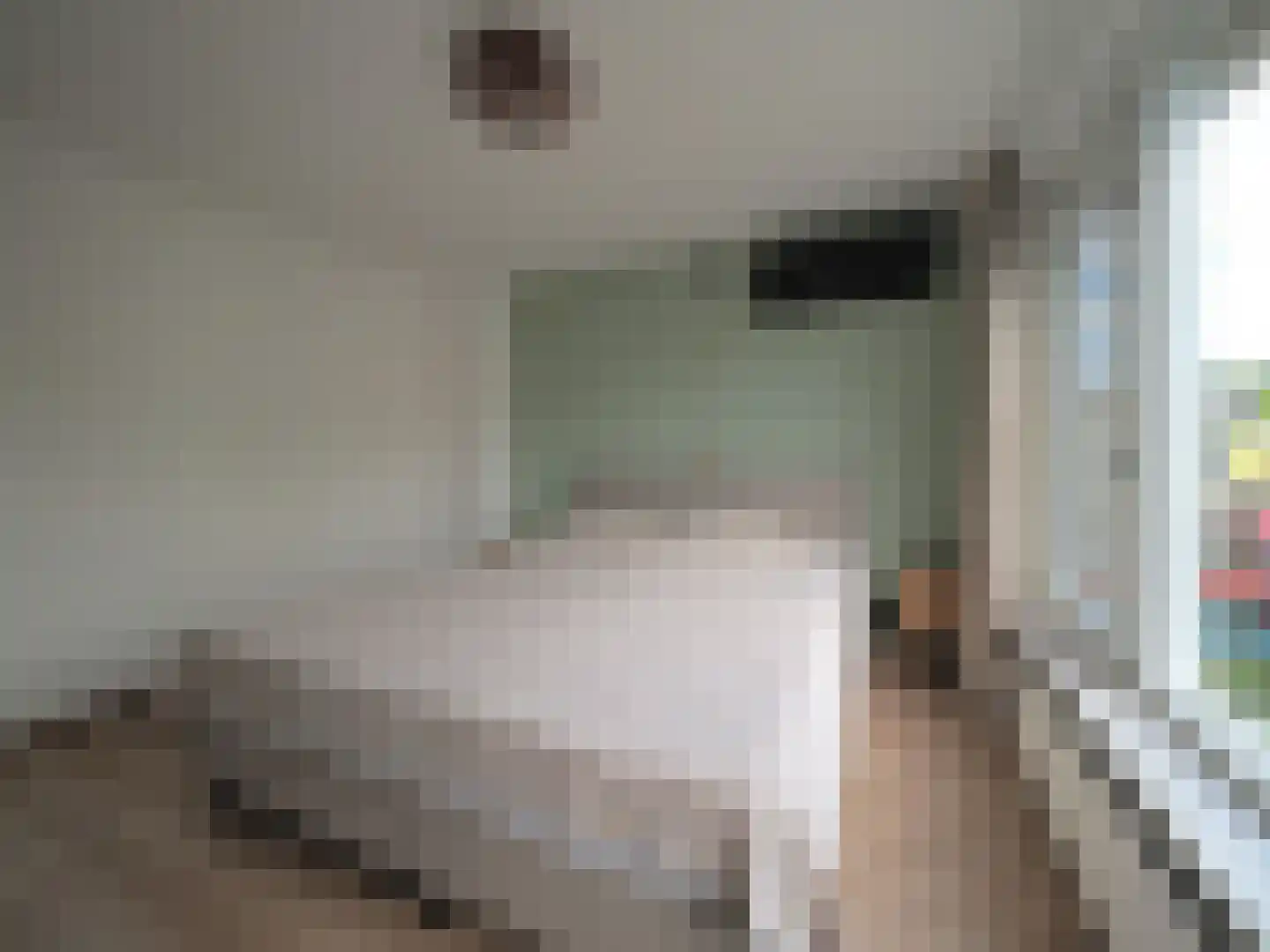 Tesselschadestraat 8 Papendrecht thumbnail 29