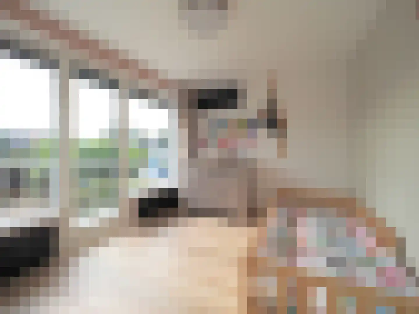 Tesselschadestraat 8 Papendrecht thumbnail 33