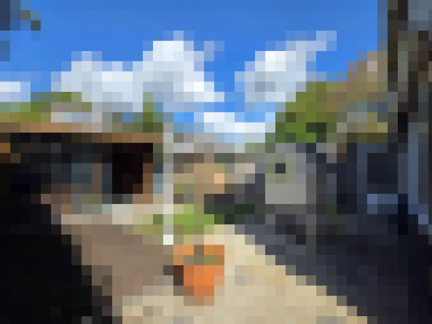 Tesselschadestraat 8 Papendrecht thumbnail 51
