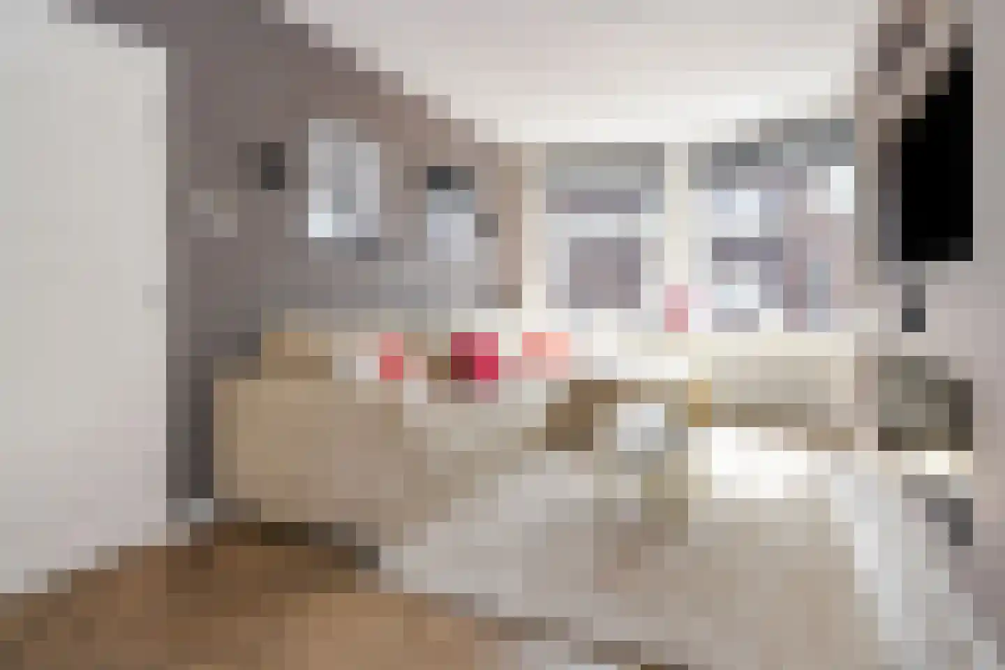 Tesselsestraat 111 Den Haag thumbnail 7