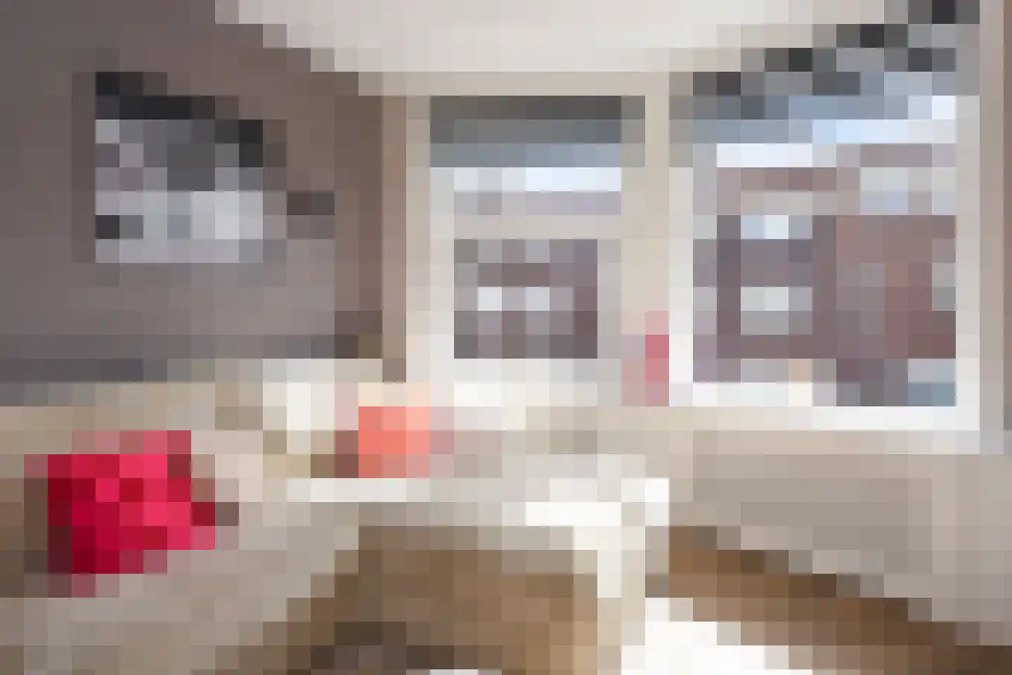 Tesselsestraat 111 Den Haag thumbnail 8