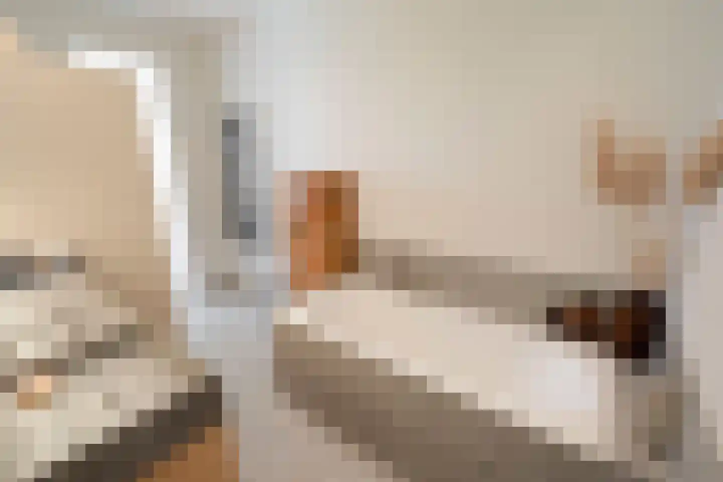 Tesselsestraat 22 Den Haag thumbnail 13
