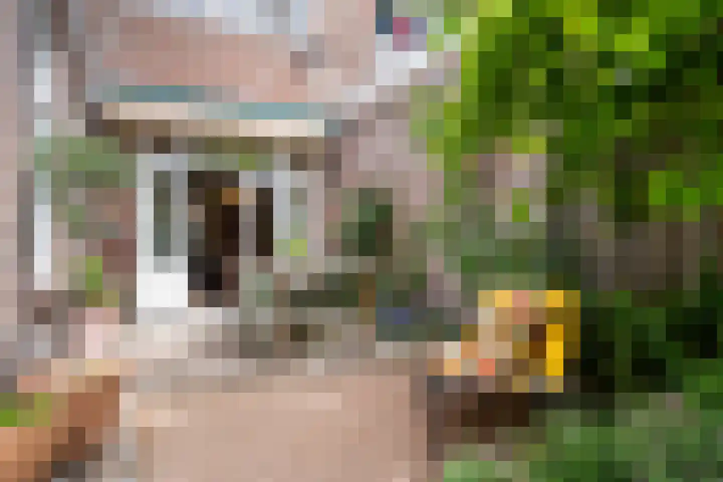 Tesselsestraat 22 Den Haag thumbnail 16