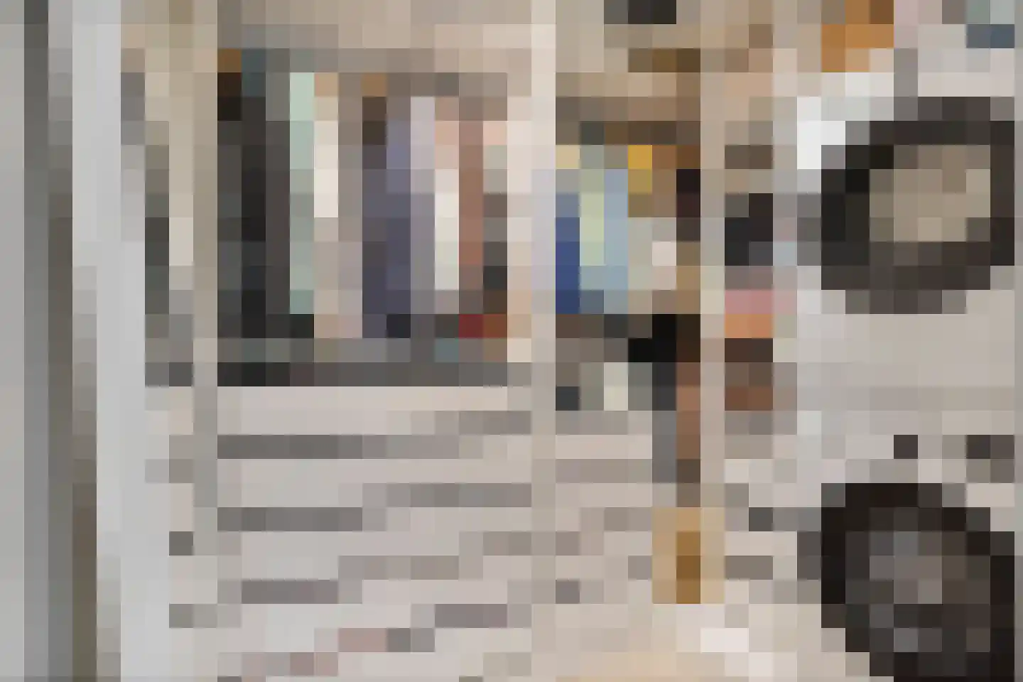 Tesselsestraat 22 Den Haag thumbnail 9