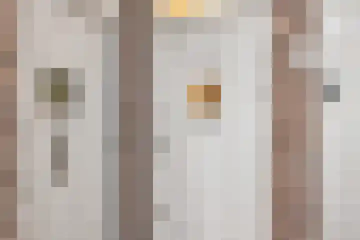 Tesselsestraat 49 Den Haag thumbnail 5