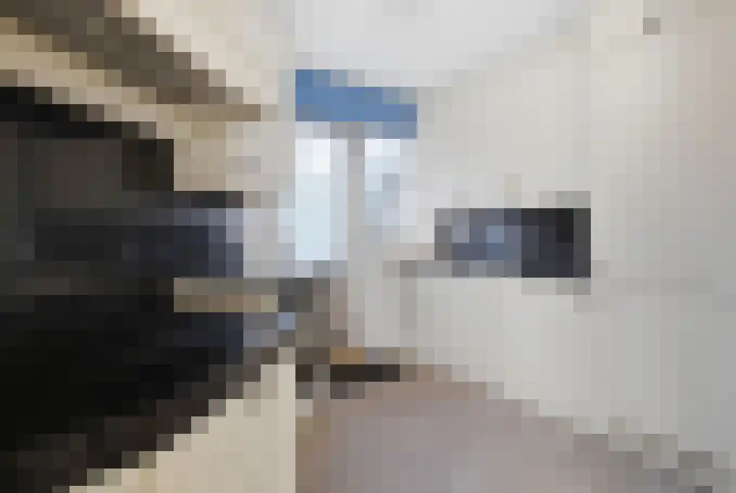 Tesselsestraat 53 Den Haag thumbnail 16