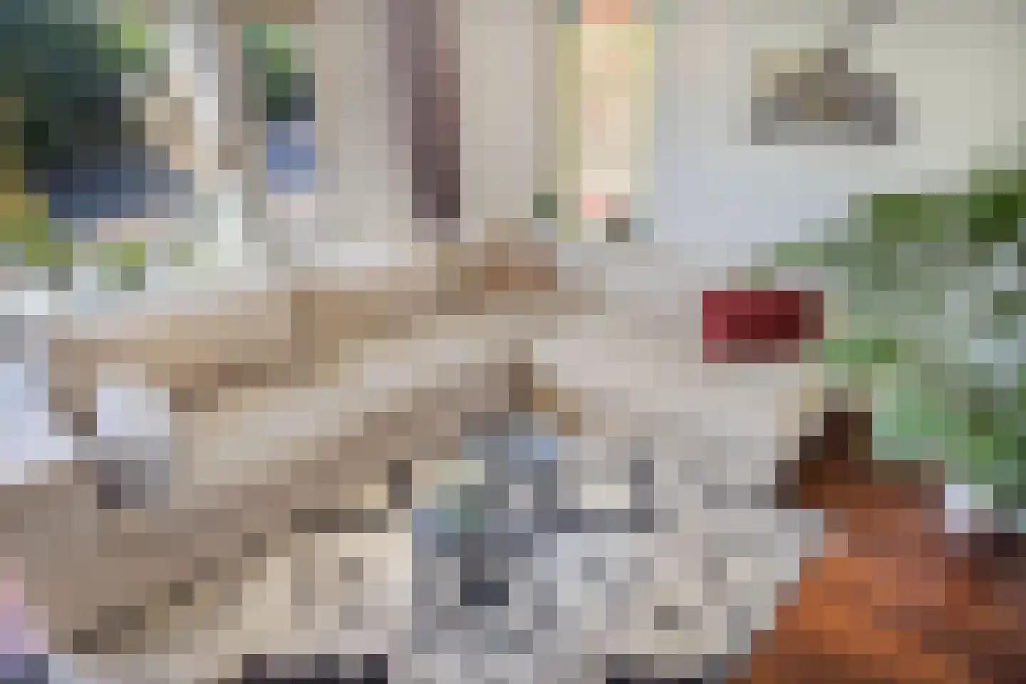 Tesselsestraat 7 Den Haag thumbnail 11
