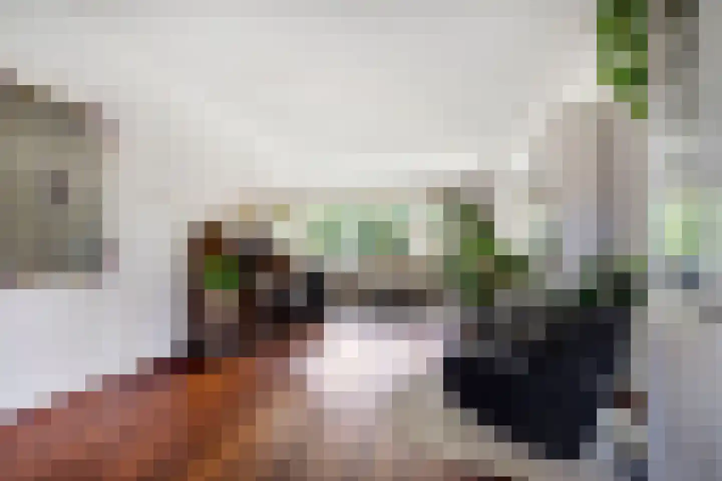 Tesselsestraat 7 Den Haag thumbnail 17