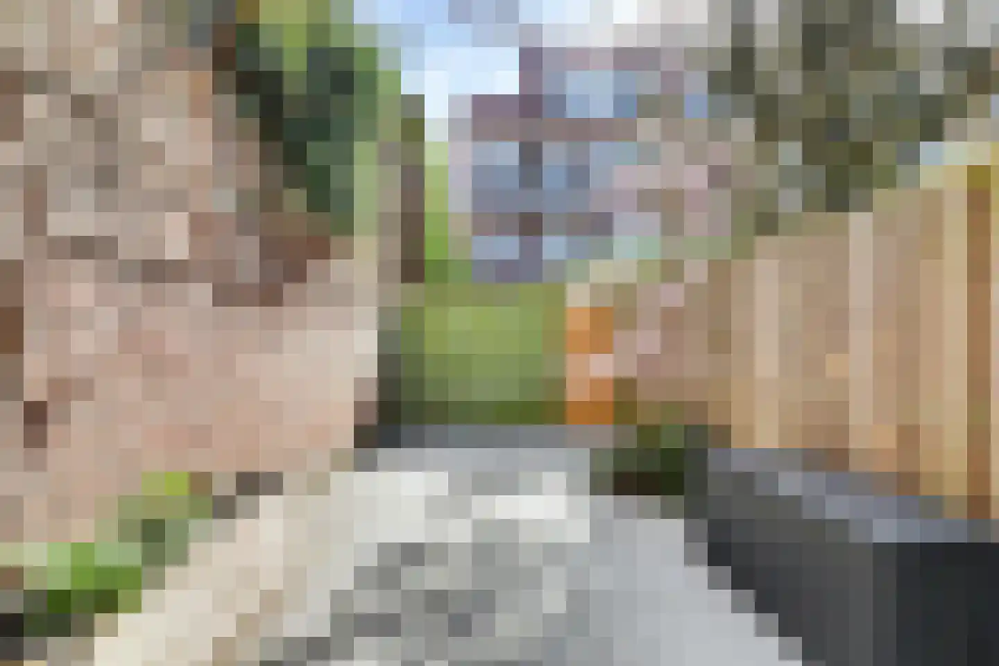 Tesselsestraat 8 Den Haag thumbnail 24