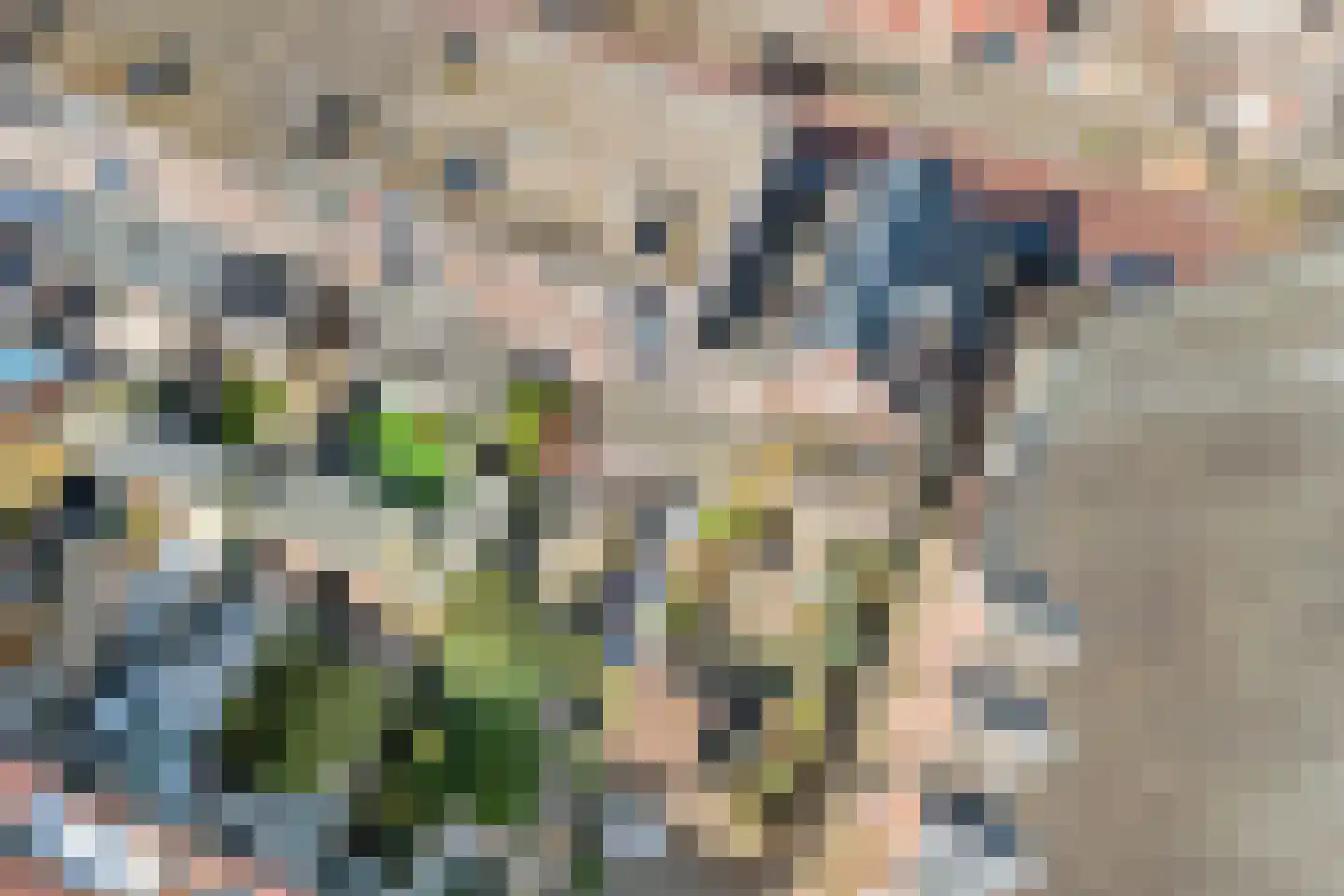 Tesselsestraat 8 Den Haag thumbnail 31