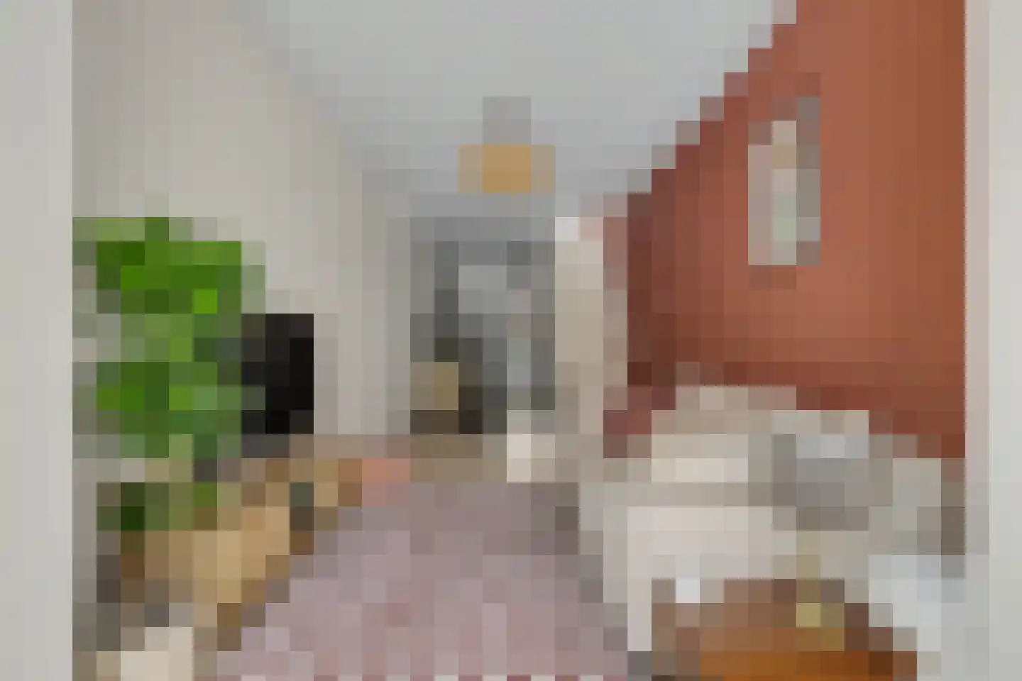Tesselsestraat 8 Den Haag thumbnail 6