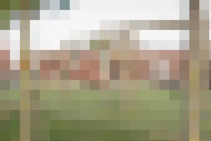 Tesselsestraat 96 Den Haag thumbnail 22