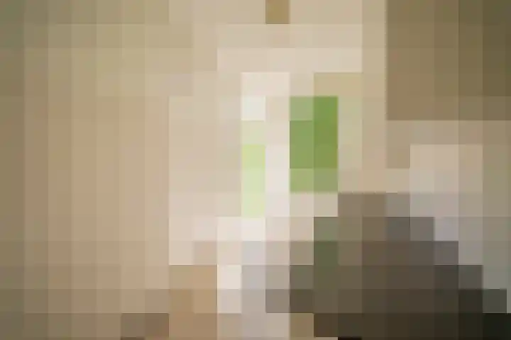 Tesselsestraat 96 Den Haag thumbnail 9