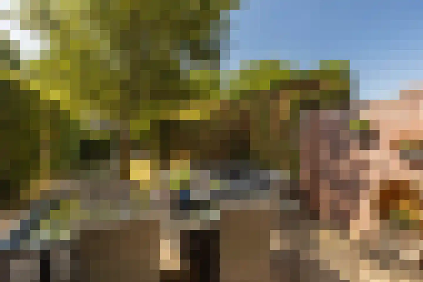 Tessmanstraat 27 Sittard thumbnail 25