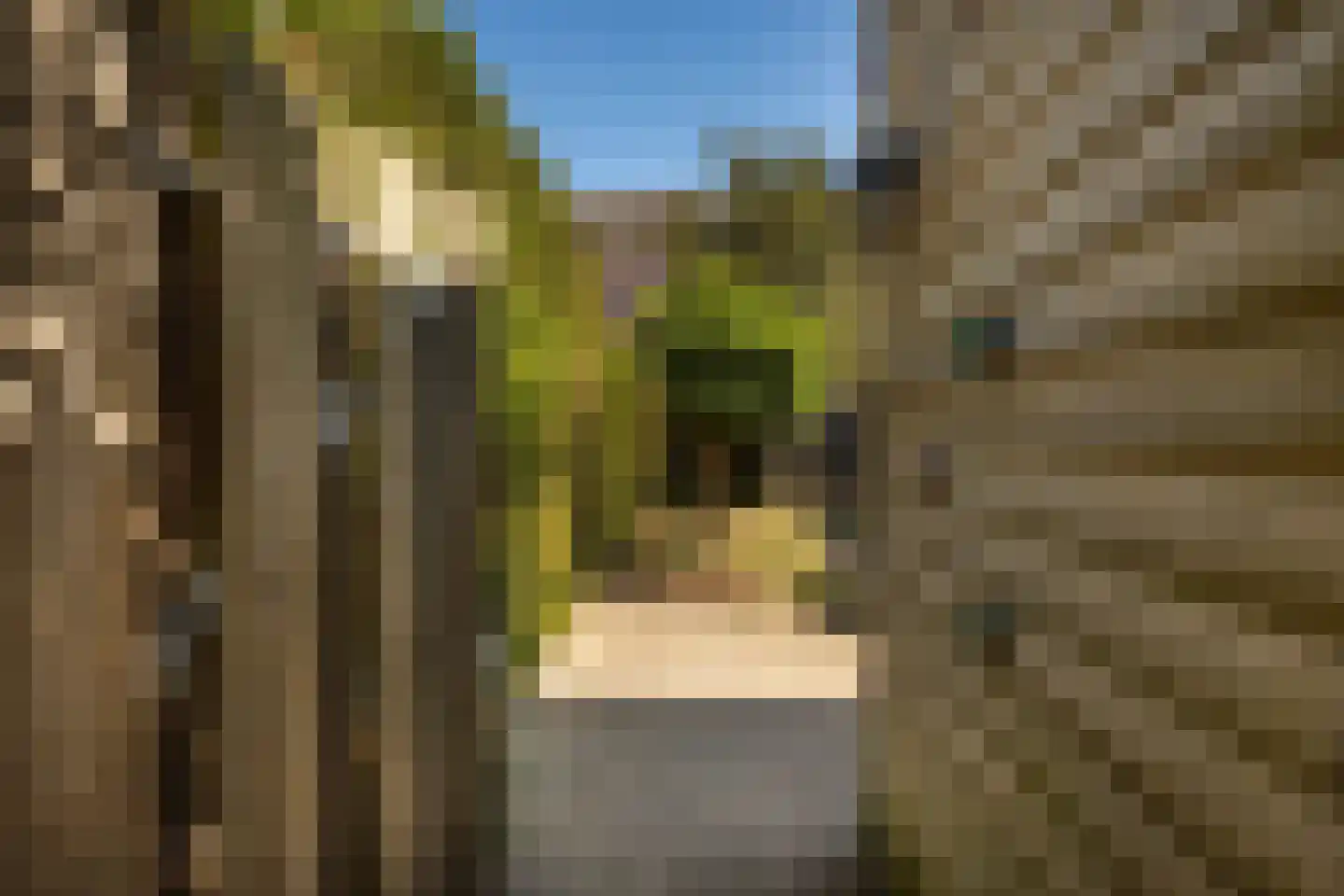 Tessmanstraat 27 Sittard thumbnail 33