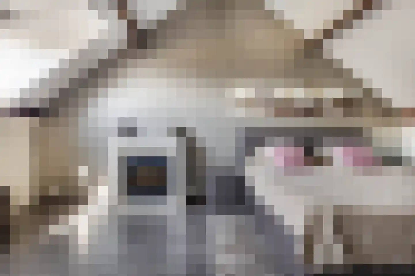 Tessmanstraat 27 Sittard thumbnail 4