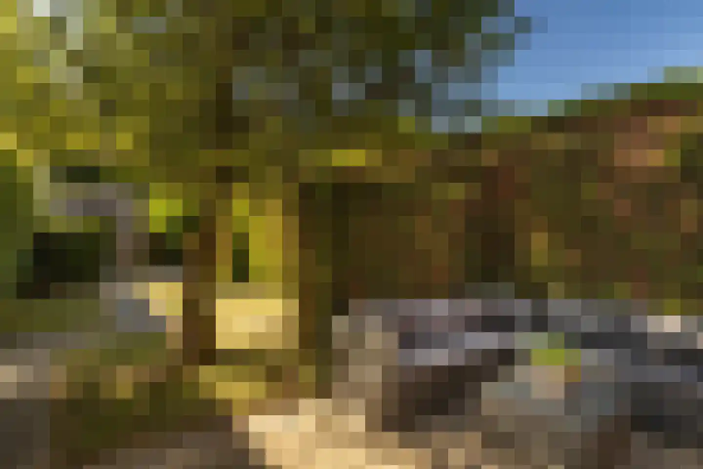 Tessmanstraat 27 Sittard thumbnail 6