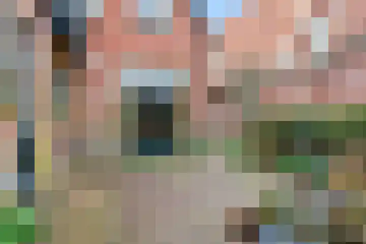 Tetburgstraat 5 Castricum thumbnail 28