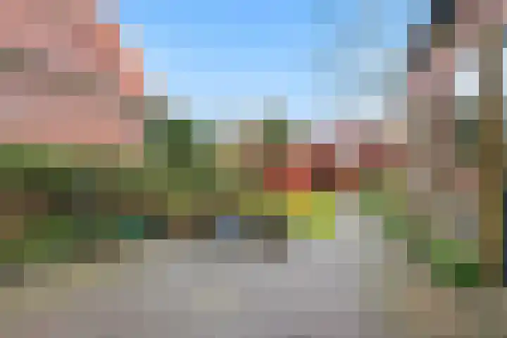 Tetburgstraat 5 Castricum thumbnail 29