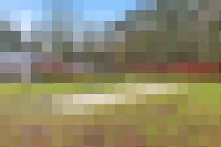 Tetburgstraat 5 Castricum thumbnail 37