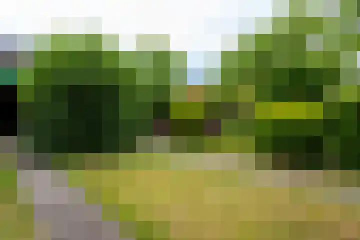 Tetburgstraat 7 Castricum thumbnail 31