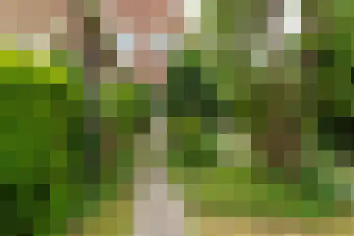 Tetburgstraat 7 Castricum thumbnail 32