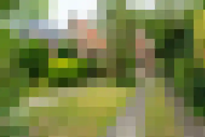 Tetburgstraat 7 Castricum thumbnail 34