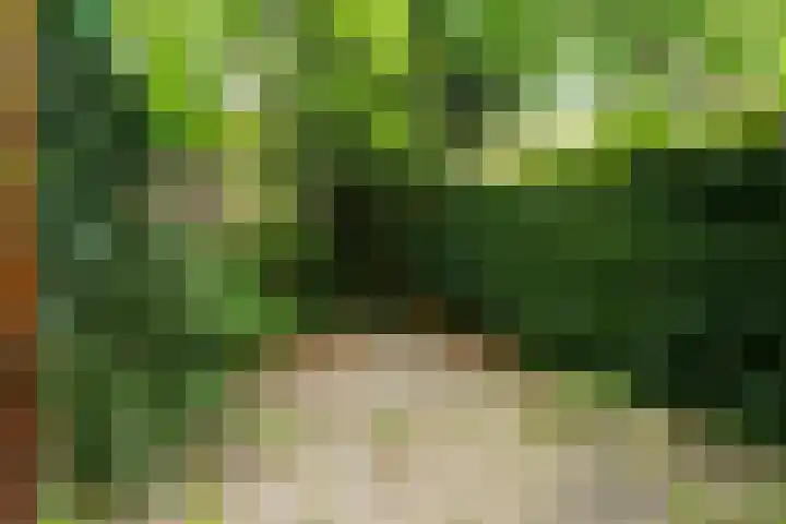 Tetburgstraat 7 Castricum thumbnail 38