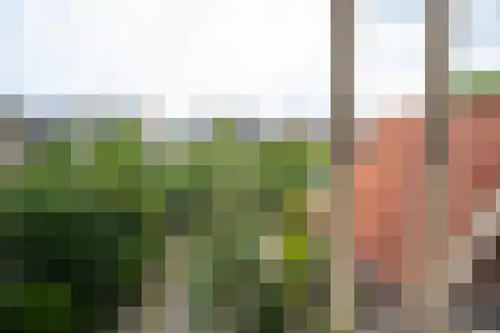 Tetburgstraat 7 Castricum thumbnail 49